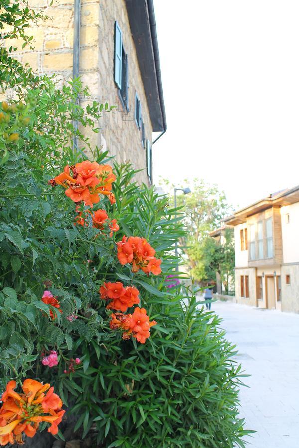 Side Doga Pension Hotel Exterior photo